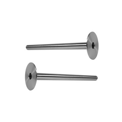 Thermocouple Tantal Protection Tube